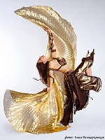 Заказать восточное шоу